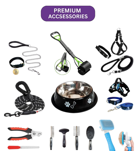 premium accsessories