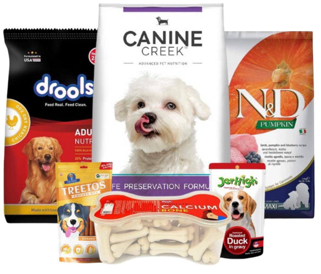 untitled design (3) (1)