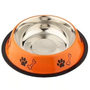 Home colour bowl for dog
