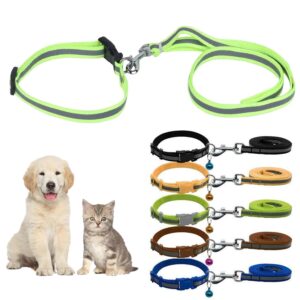 Collar & Leash