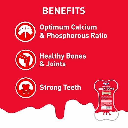 drools absolute dog bone treats, milk flavour 600g 40peices jar, all life stages drools absolute dog bone treats, milk flavour 600g 40peices jar, all life stages