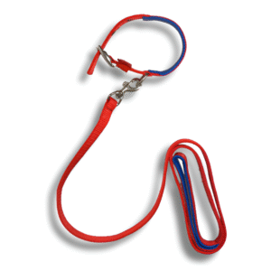 soft padded dog collar set | adjustable, comfortable & strong pet collar