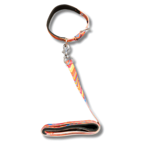 printed durable padded dog collar set – adjustable, lightweight & strong for daily use