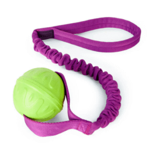 tuggi ball interactive dog toy for tug of war & play. strong & comfortable, stretchy bungee handle, reward training, interrupting biting & chewing. ideal for agility and suitable for puppies