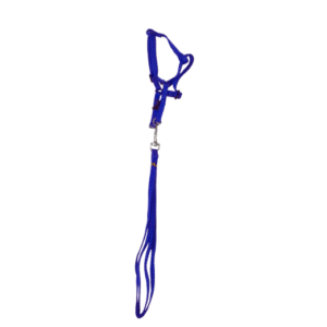 adjustable puppy harness with leash – soft nylon comfortable walking set ? | 15mm