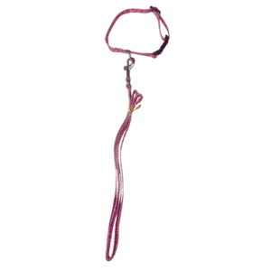 adjustable puppy harness with leash – soft nylon comfortable walking set ? | 15mm